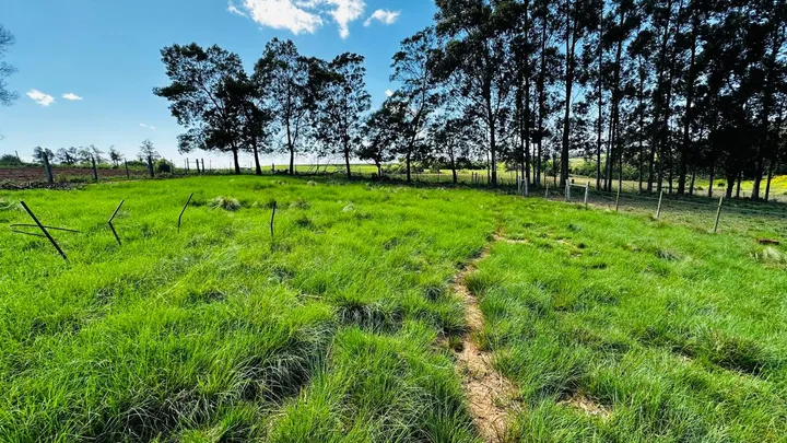 Chácara 2.3 hectares próximo a BR-287 Boca do Monte